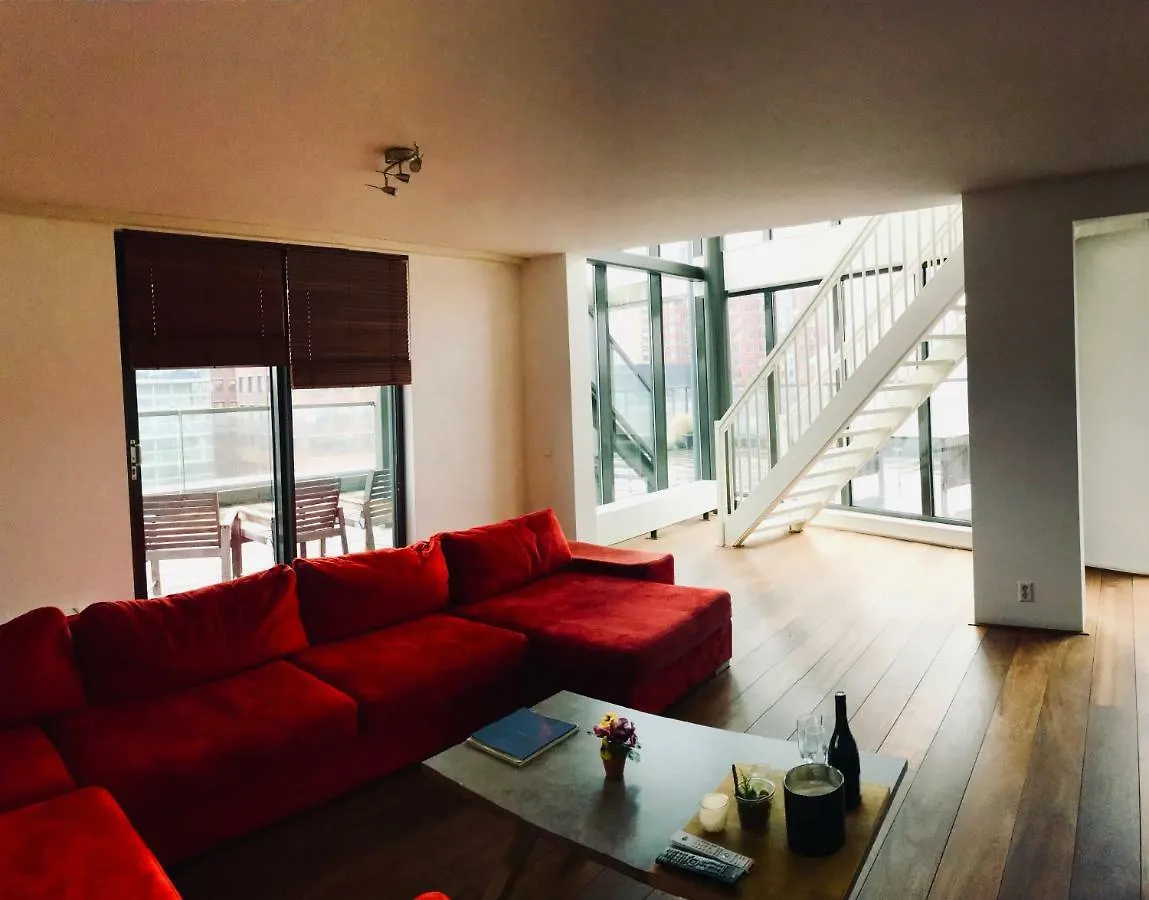 Apartament Fiona Hotel Rotterdam Holandia
