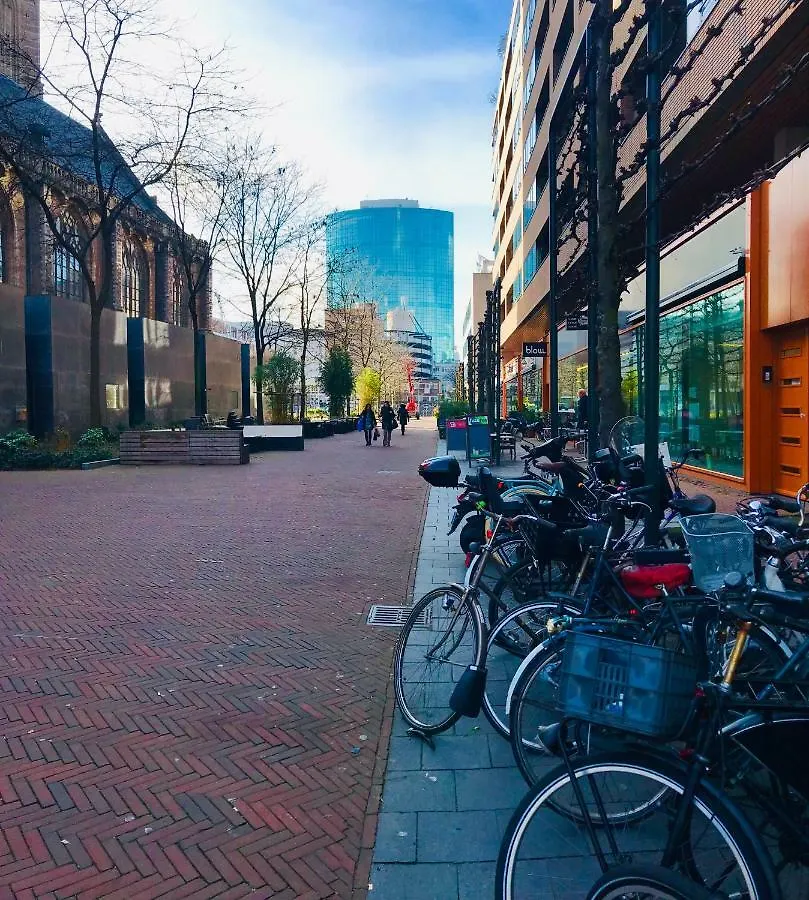 Apartament Fiona Hotel Rotterdam Holandia